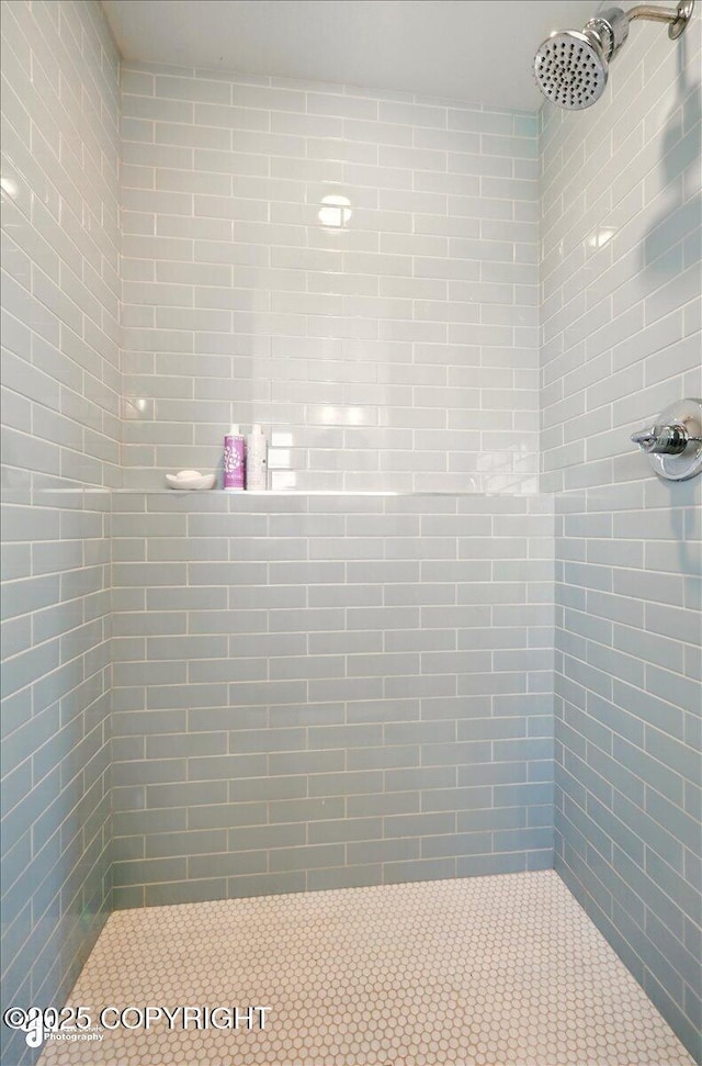 7350 E Narnia Cir, Palmer, AK 99645 - bathroom featuring a tile shower