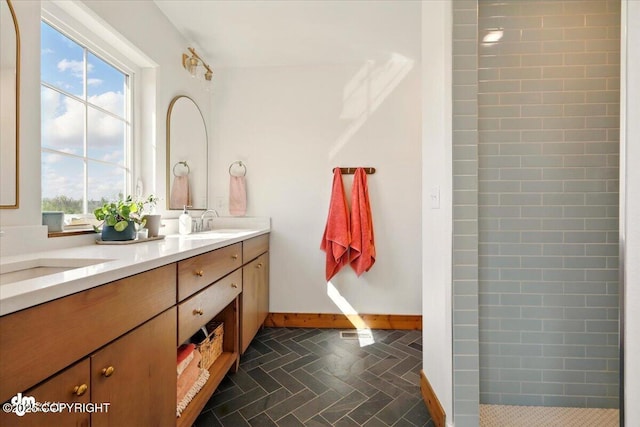 7350 E Narnia Cir, Palmer, AK 99645 - bathroom with double vanity, baseboards, healthy amount of natural light, and tiled shower