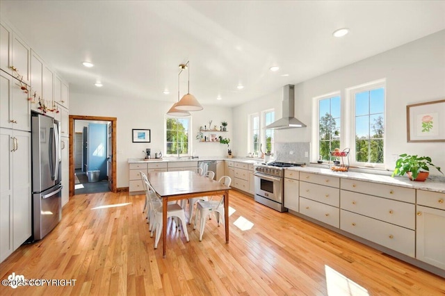 7350 E Narnia Cir, Palmer, AK 99645 - kitchen featuring wall chimney exhaust hood, stainless steel appliances, light wood-type flooring, recessed lighting, and a sink