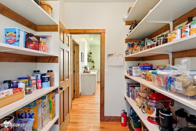 7350 E Narnia Cir, Palmer, AK 99645 - view of pantry