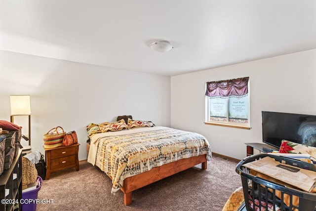 7879 W Sally Ct, Wasilla, AK 99623 - bedroom with carpet and baseboards