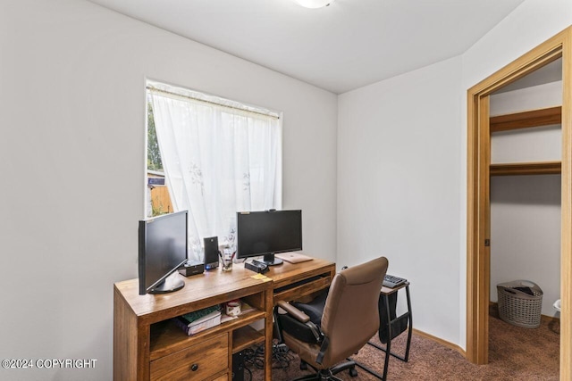 7879 W Sally Ct, Wasilla, AK 99623 - home office with carpet flooring and baseboards