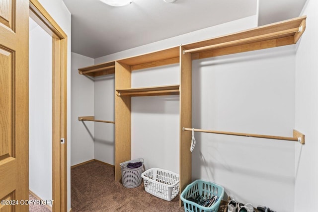 7879 W Sally Ct, Wasilla, AK 99623 - walk in closet with carpet flooring