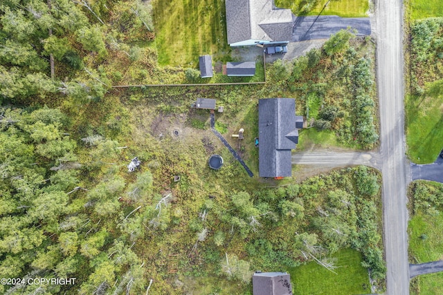 7879 W Sally Ct, Wasilla, AK 99623 - drone / aerial view