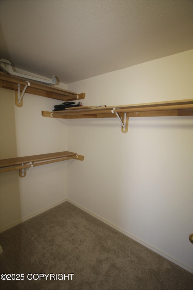 1932 Casey Cusack Loop, Anchorage, AK 99515 - spacious closet with carpet floors