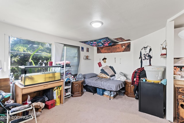 241 N Flower St, Anchorage, AK 99508 - bedroom with carpet flooring and a textured ceiling