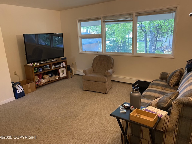 4312 Penguin St, Anchorage, AK 99503 - living area with carpet, baseboards, and a baseboard radiator
