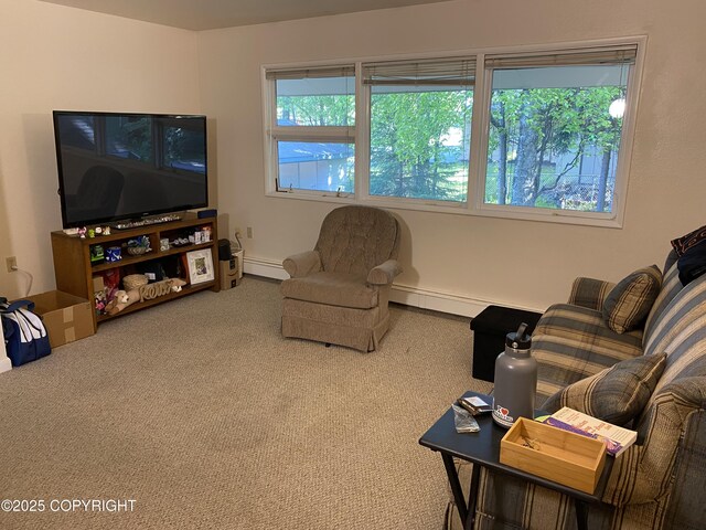 4312 Penguin St, Anchorage, AK 99503 - living area featuring baseboard heating and carpet