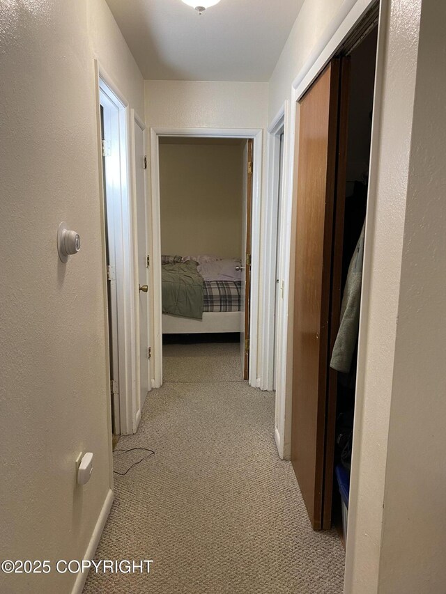 4312 Penguin St, Anchorage, AK 99503 - corridor with light colored carpet, baseboards, and a textured wall