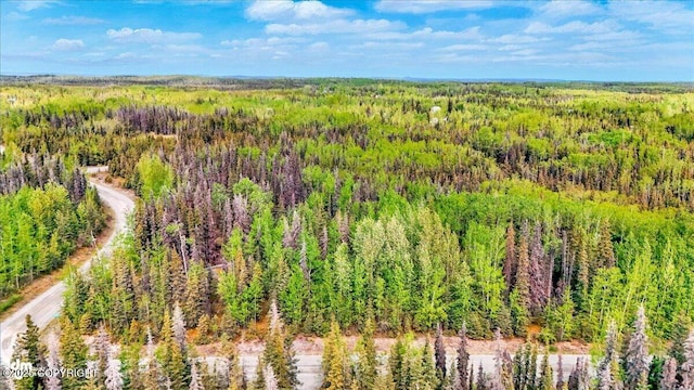 29712 Alamo Ave, Sterling, AK 99672