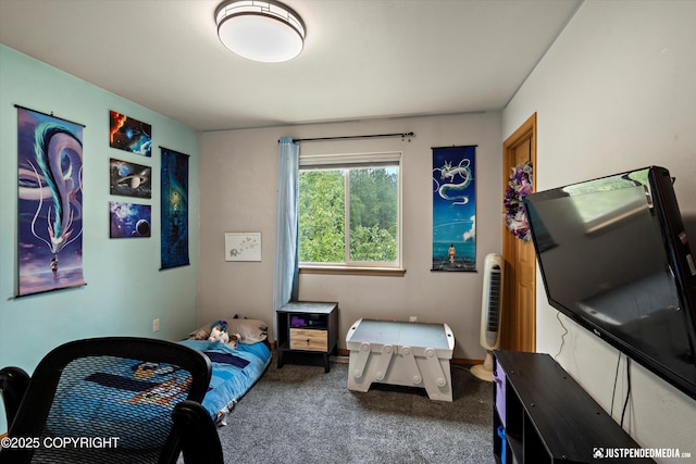 1061 E Mulchatna Dr, Wasilla, AK 99654 - bedroom with carpet flooring