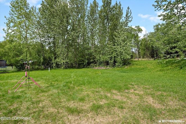 1061 E Mulchatna Dr, Wasilla, AK 99654 - view of grassy yard with a trampoline