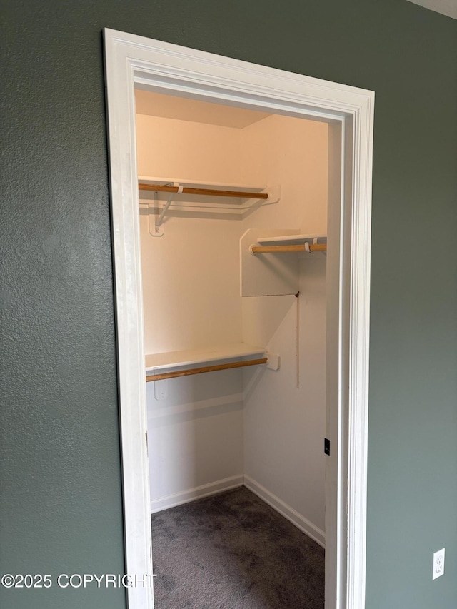 13125 W Curry Ridge Cir, Eagle River, AK 99577 - walk in closet with carpet floors