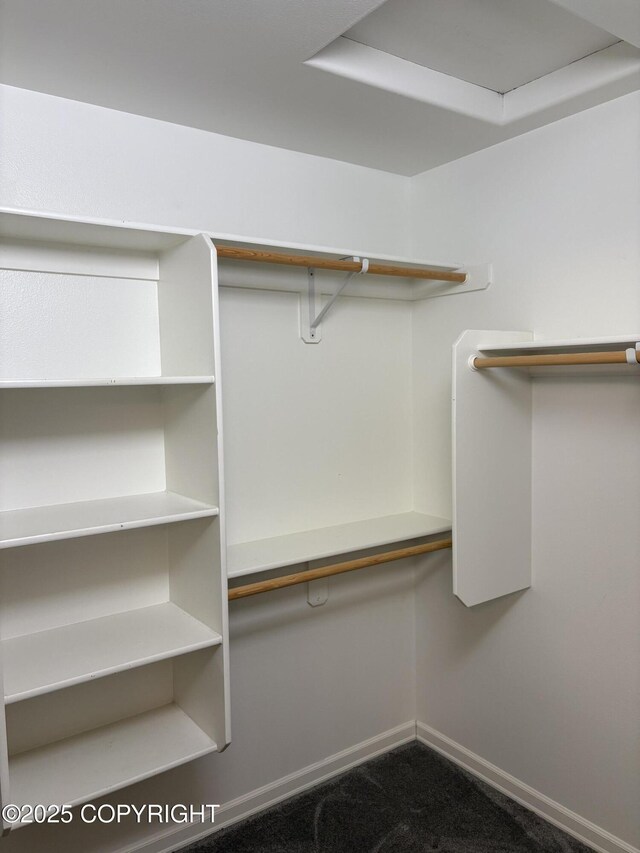 13125 W Curry Ridge Cir, Eagle River, AK 99577 - walk in closet with carpet flooring