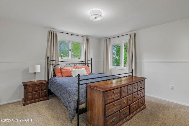 45035 Ptarmigan Pl, Soldotna, AK 99669 - bedroom featuring wainscoting and light carpet