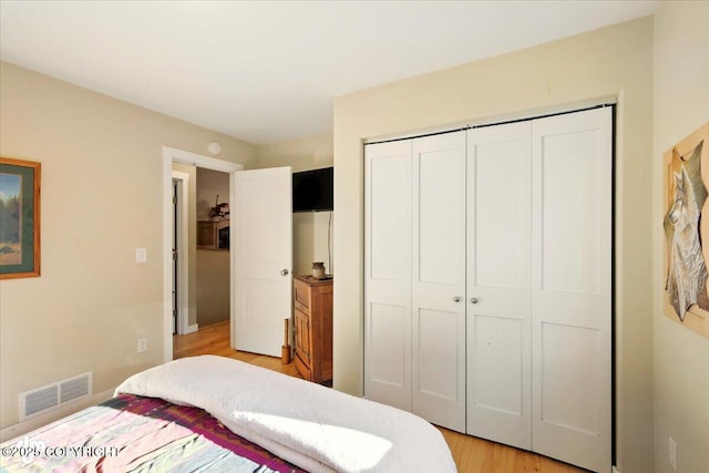 3872 N Charley Dr, Wasilla, AK 99654 - bedroom with a closet and light wood-style flooring