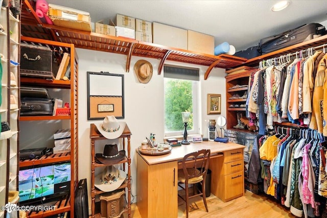 3872 N Charley Dr, Wasilla, AK 99654 - walk in closet with light wood-type flooring
