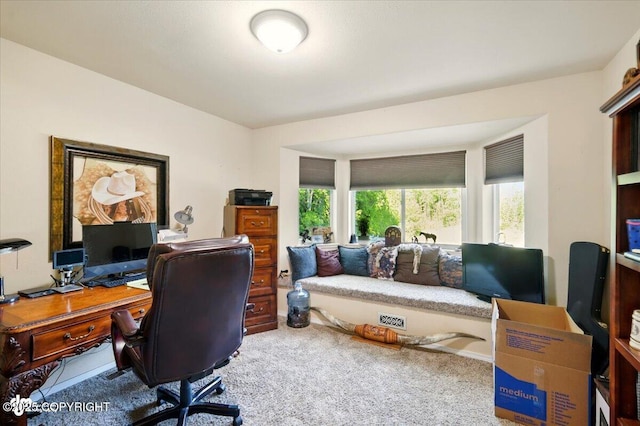 3872 N Charley Dr, Wasilla, AK 99654 - view of carpeted home office