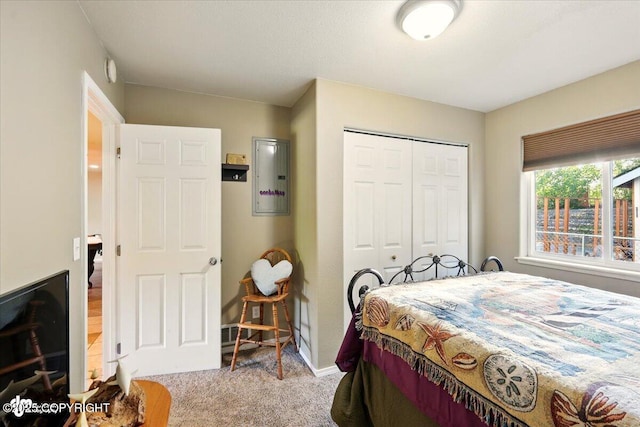 3872 N Charley Dr, Wasilla, AK 99654 - bedroom with carpet, electric panel, a closet, and baseboards