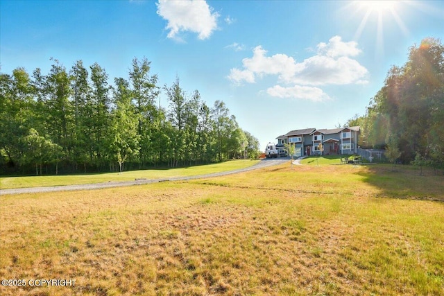 3872 N Charley Dr, Wasilla, AK 99654 - view of green lawn