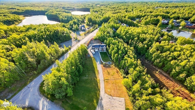 3872 N Charley Dr, Wasilla, AK 99654 - aerial view of a heavily wooded area