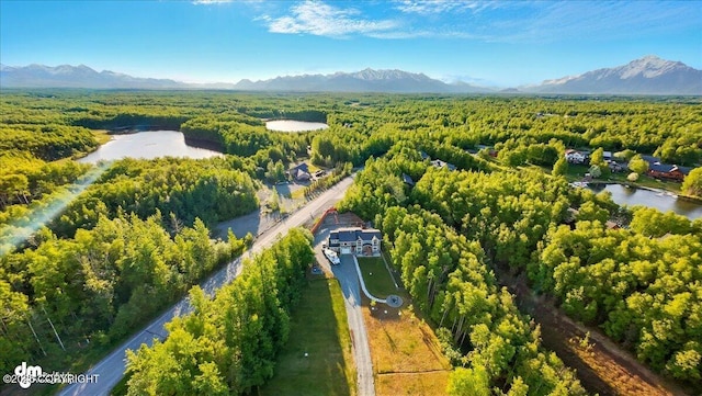 3872 N Charley Dr, Wasilla, AK 99654 - bird's eye view of a forest and a mountainous background