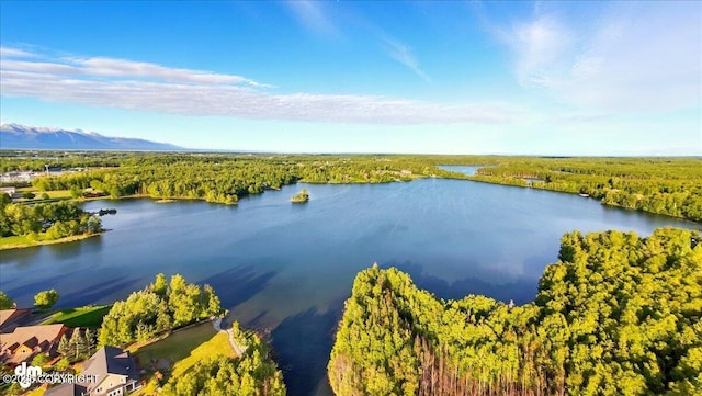 3872 N Charley Dr, Wasilla, AK 99654 - drone / aerial view of a large body of water and a heavily wooded area