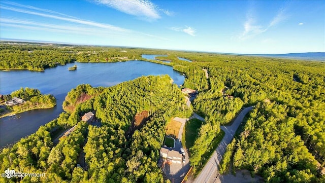 3872 N Charley Dr, Wasilla, AK 99654 - bird's eye view of a heavily wooded area and a nearby body of water