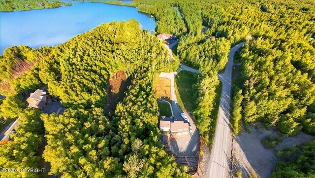 3872 N Charley Dr, Wasilla, AK 99654 - drone / aerial view of a large body of water and a forest