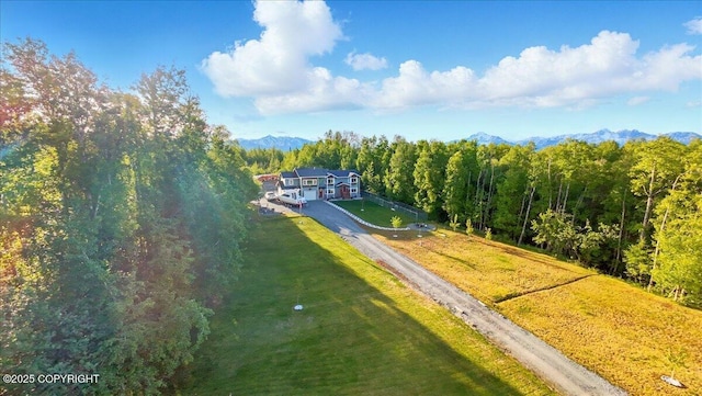 3872 N Charley Dr, Wasilla, AK 99654 - view from above of property with mountains and a forest