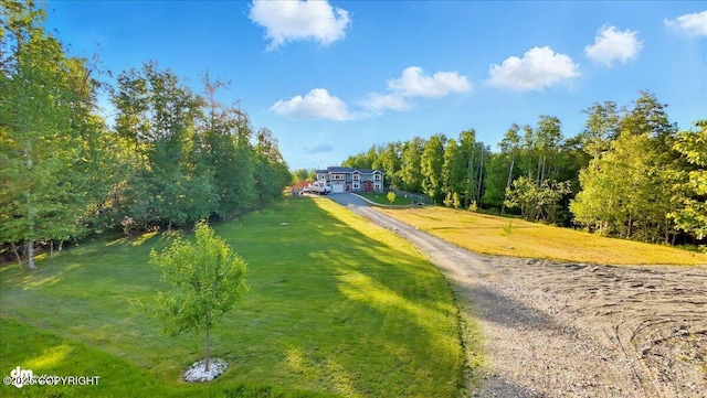3872 N Charley Dr, Wasilla, AK 99654 - view of community with a lawn