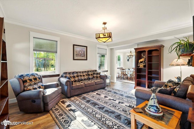 2034 E Sage Rd, Wasilla, AK 99654 - living area with a chandelier, ornamental molding, and wood finished floors