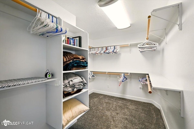 2034 E Sage Rd, Wasilla, AK 99654 - walk in closet with carpet flooring