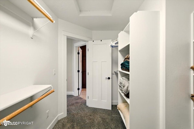 2034 E Sage Rd, Wasilla, AK 99654 - spacious closet with attic access and dark colored carpet