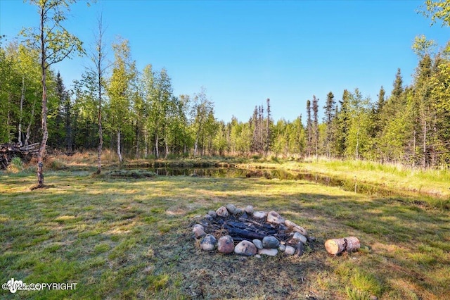 2034 E Sage Rd, Wasilla, AK 99654 - view of yard featuring a view of trees