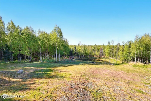 2034 E Sage Rd, Wasilla, AK 99654 - view of green lawn