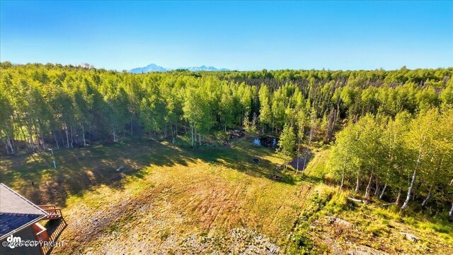 2034 E Sage Rd, Wasilla, AK 99654 - mountain view featuring a forest
