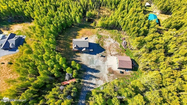 2034 E Sage Rd, Wasilla, AK 99654 - view from above of property