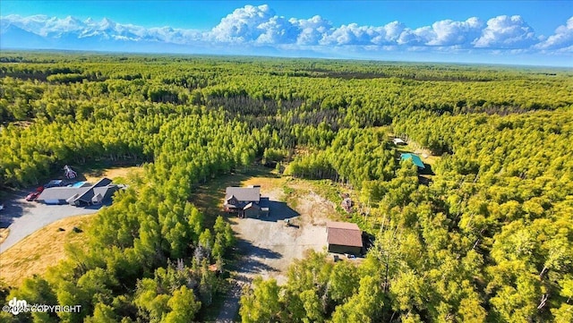 2034 E Sage Rd, Wasilla, AK 99654 - bird's eye view of a forest