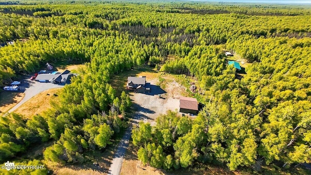 2034 E Sage Rd, Wasilla, AK 99654 - drone / aerial view of a heavily wooded area