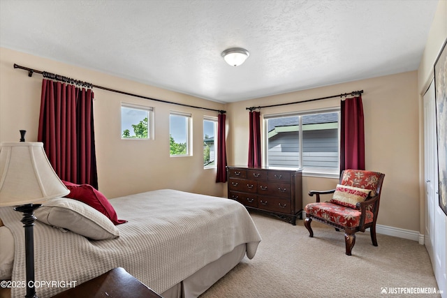 2931 Captain Cook Estates Cir, Anchorage, AK 99517 - bedroom featuring multiple windows, light colored carpet, and baseboards