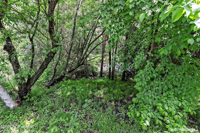 2931 Captain Cook Estates Cir, Anchorage, AK 99517 - view of undeveloped land