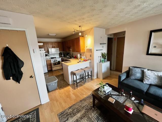 10250 Jamestown Dr # B-09, Anchorage, AK 99507 - living area featuring light wood finished floors and a textured ceiling