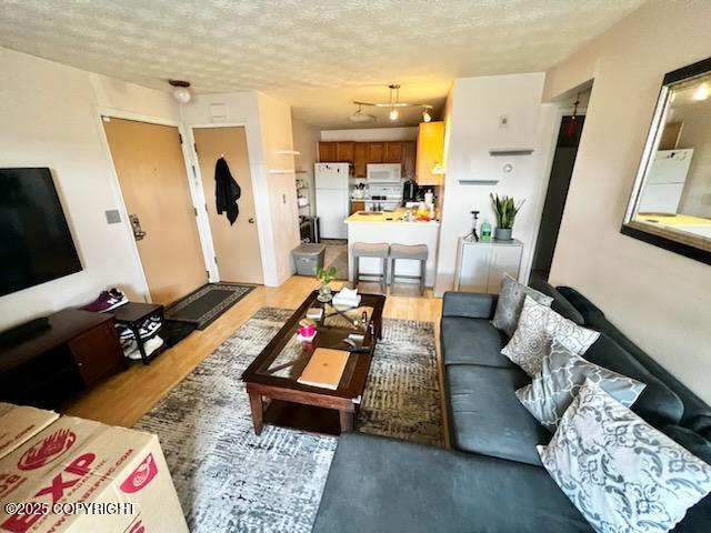 10250 Jamestown Dr # B-09, Anchorage, AK 99507 - living area featuring light wood-style floors and a textured ceiling