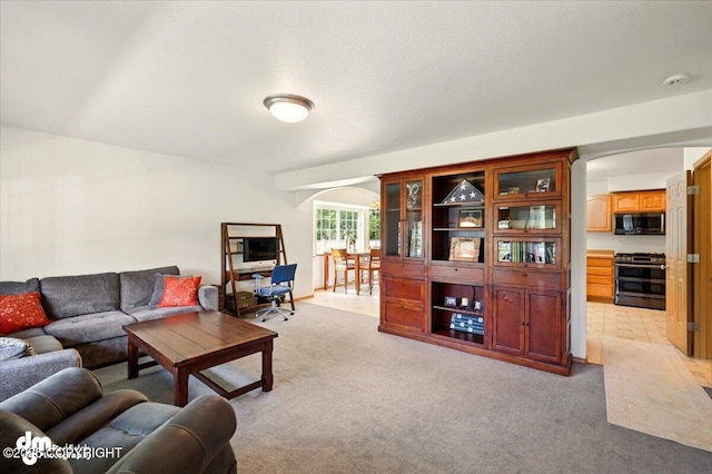 500 S Daysha Cir, Palmer, AK 99645 - living room featuring arched walkways and light colored carpet