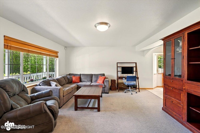 500 S Daysha Cir, Palmer, AK 99645 - carpeted living area with a desk