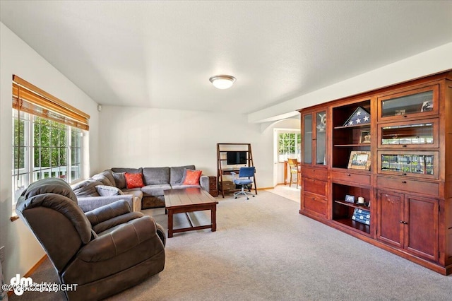 500 S Daysha Cir, Palmer, AK 99645 - living area with healthy amount of natural light and carpet flooring