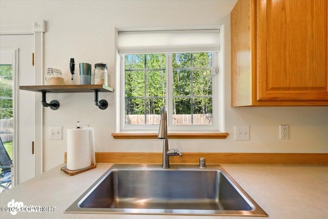 500 S Daysha Cir, Palmer, AK 99645 - kitchen featuring a sink, light countertops, and healthy amount of natural light