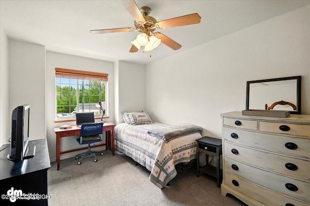 500 S Daysha Cir, Palmer, AK 99645 - bedroom featuring light carpet and a ceiling fan