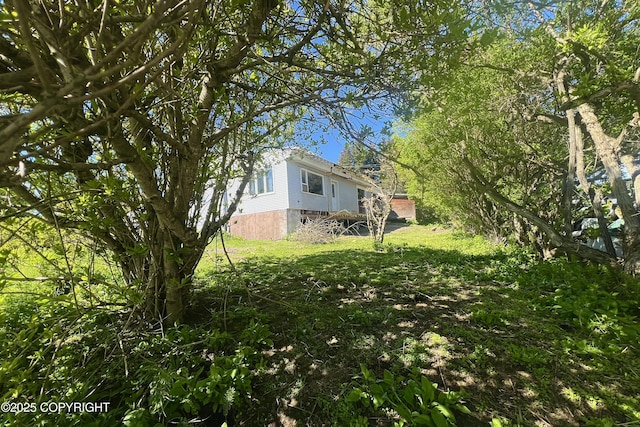 450 Noview Ave, Homer, AK 99603 - view of yard